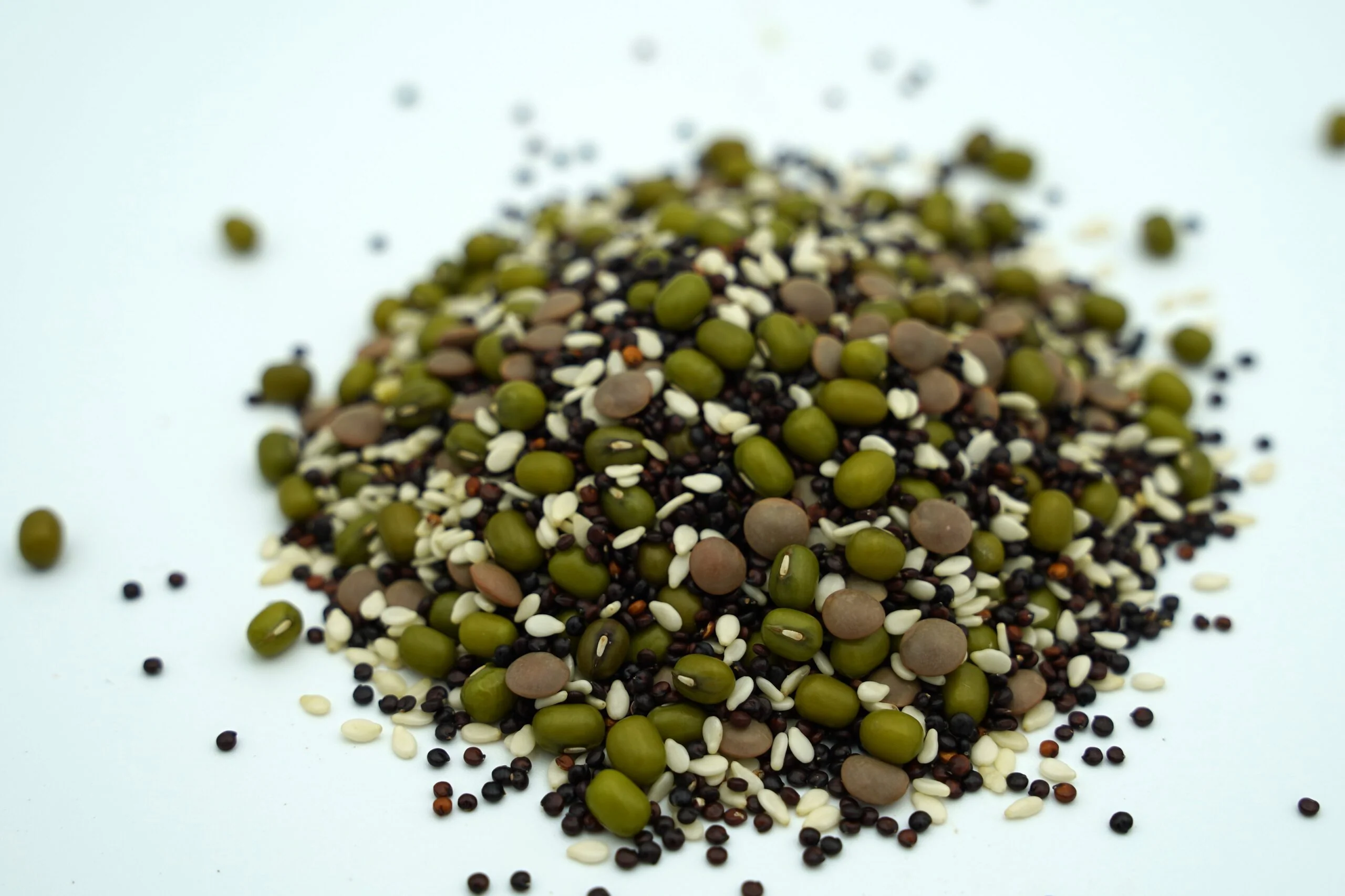 Salad Bowl Blend Sprouting Seeds