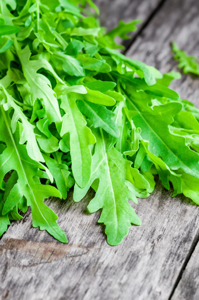 Arugula | ORGANIC