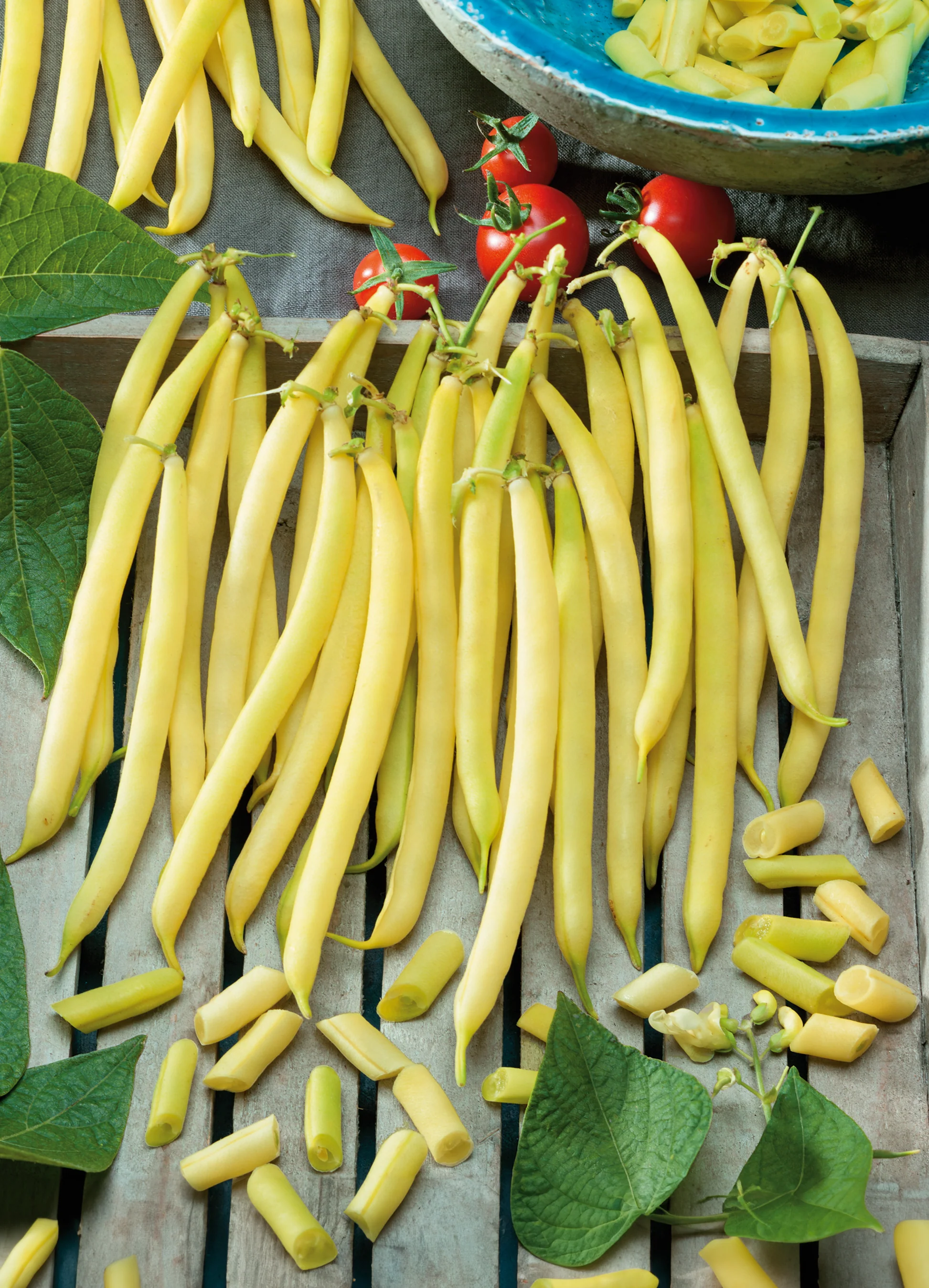 Bush Bean | Golden Wax