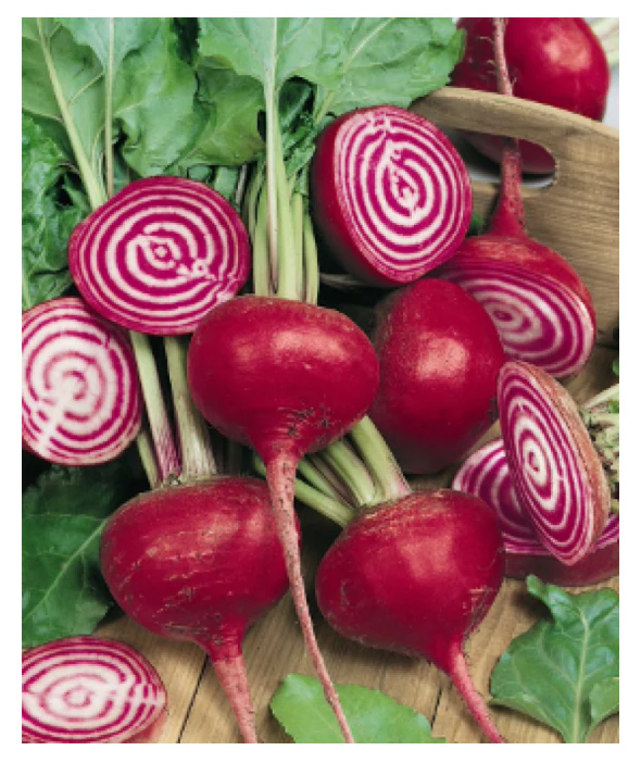 Beet Chioggia Guardsmark ORGANIC