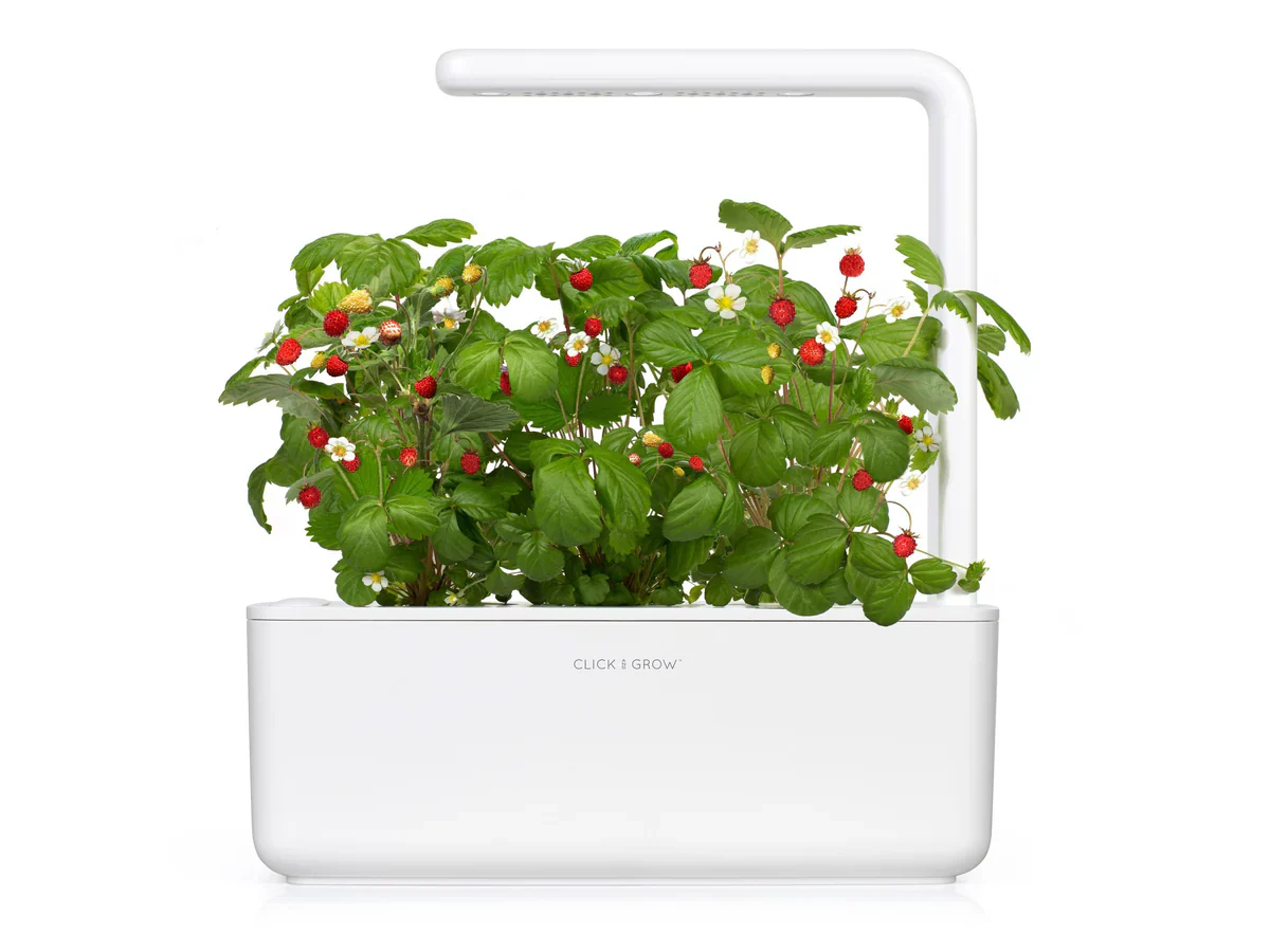Click & Grow Smart Garden 3 - Image 4