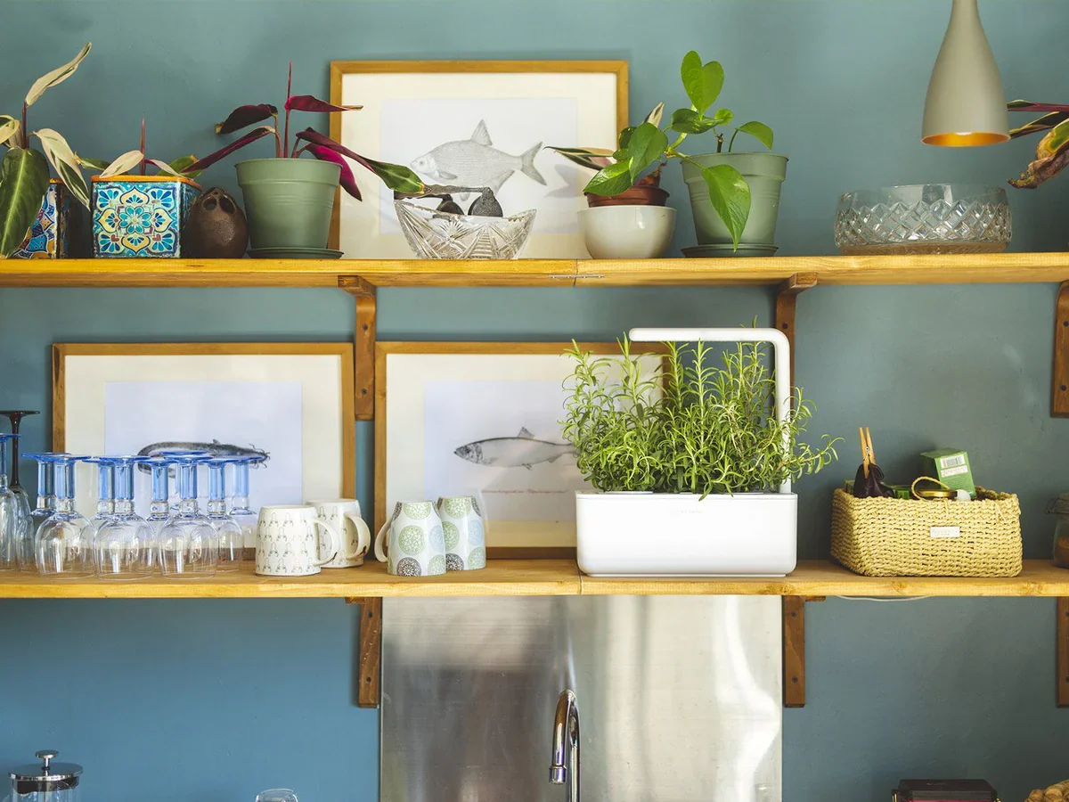 Click & Grow Smart Garden 3 - Image 9