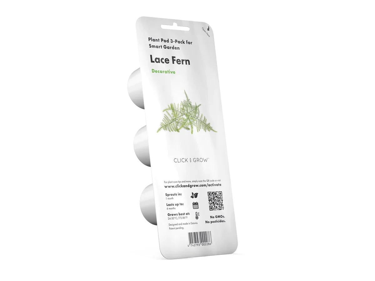 Click & Grow Refill 3-Pack - Lace Fern