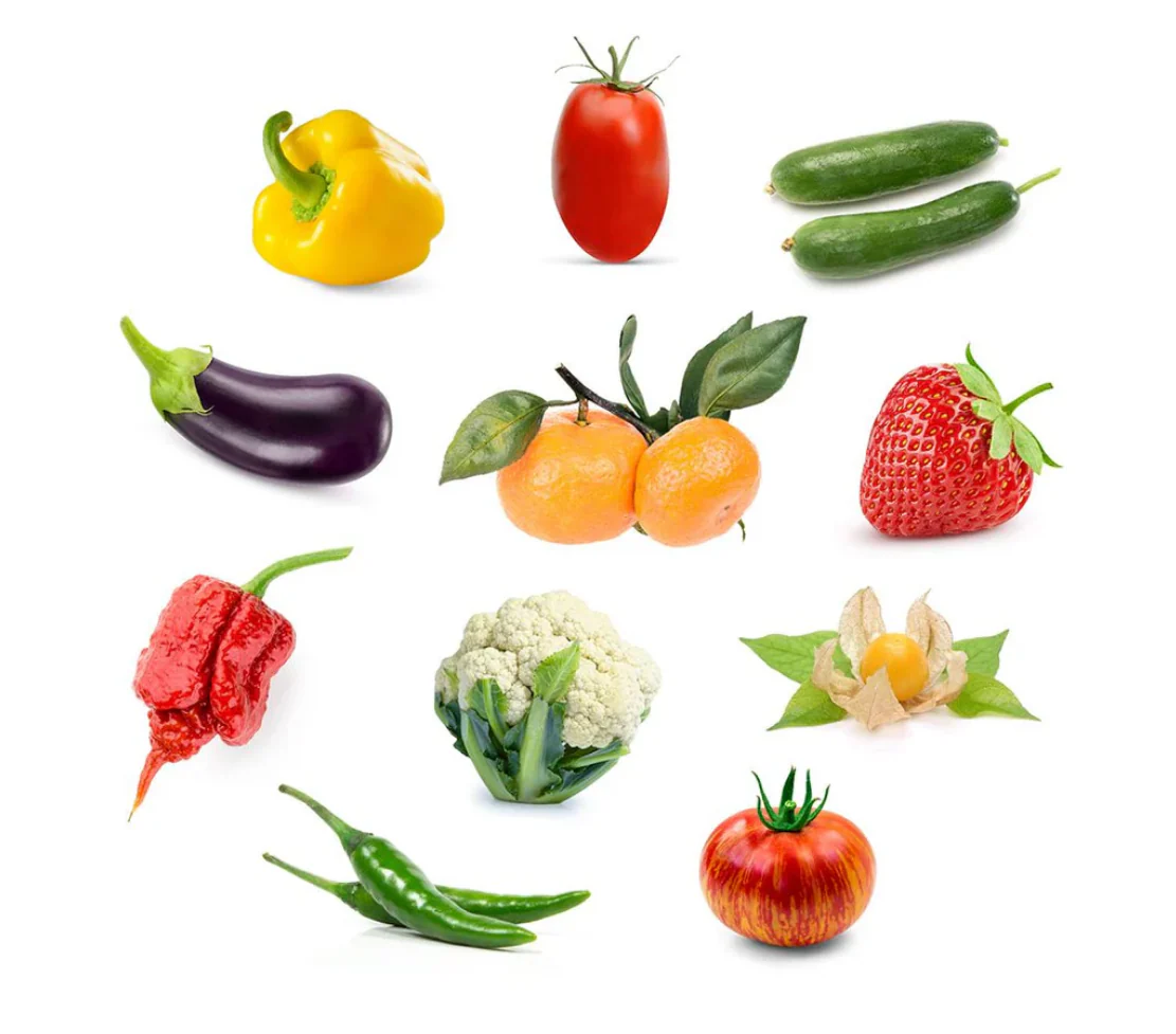 Click & Grow Refill 3-Pack - Grow Anything (Optimized for Fruiting Plants) - Image 2