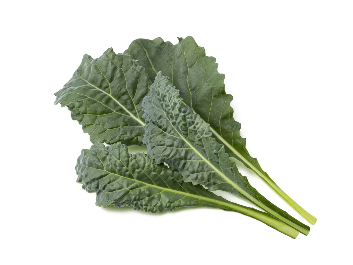 Click & Grow Refill 3-Pack - Italian Kale - Image 2
