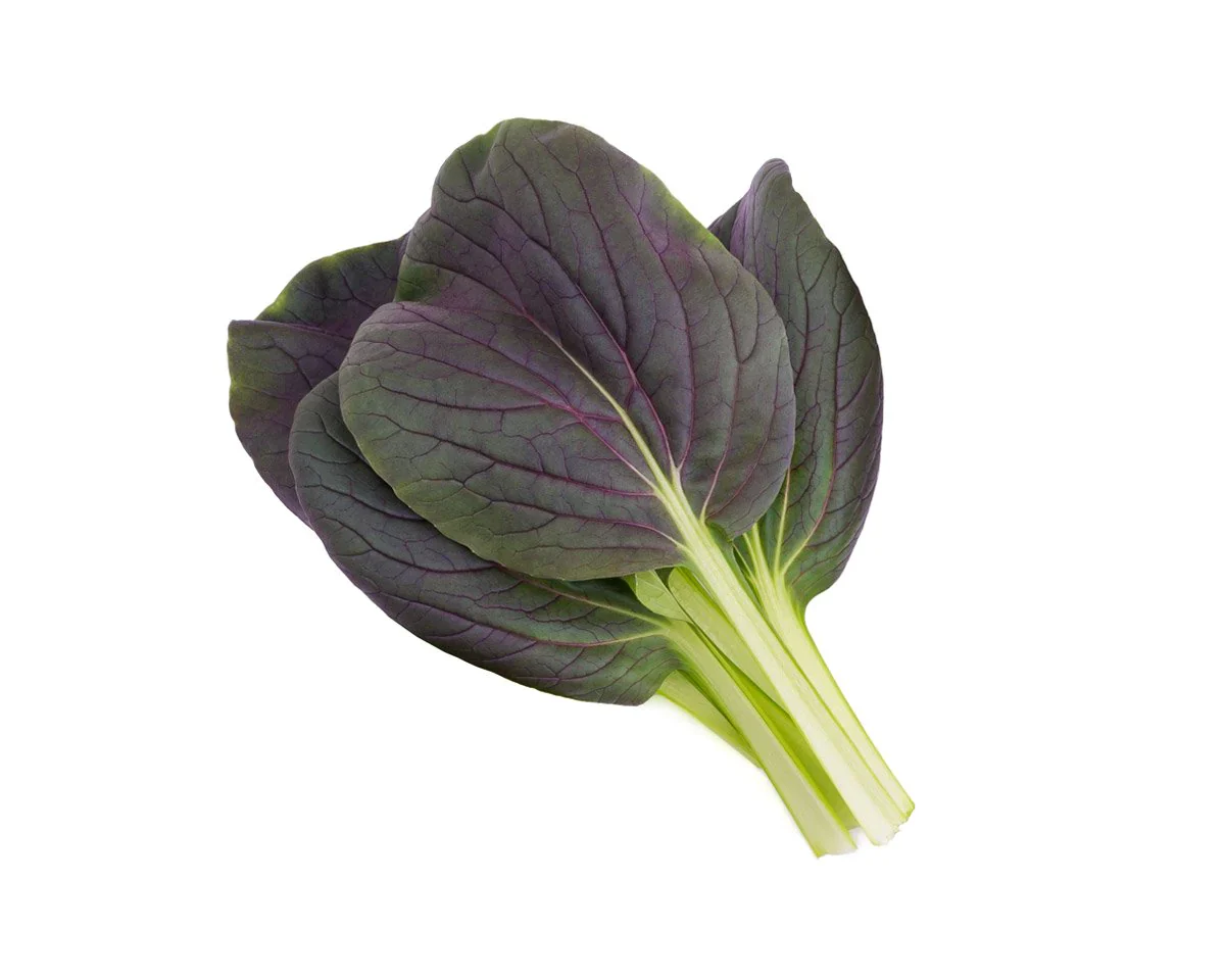Click & Grow Refill 3-Pack - Red Bok Choy - Image 2