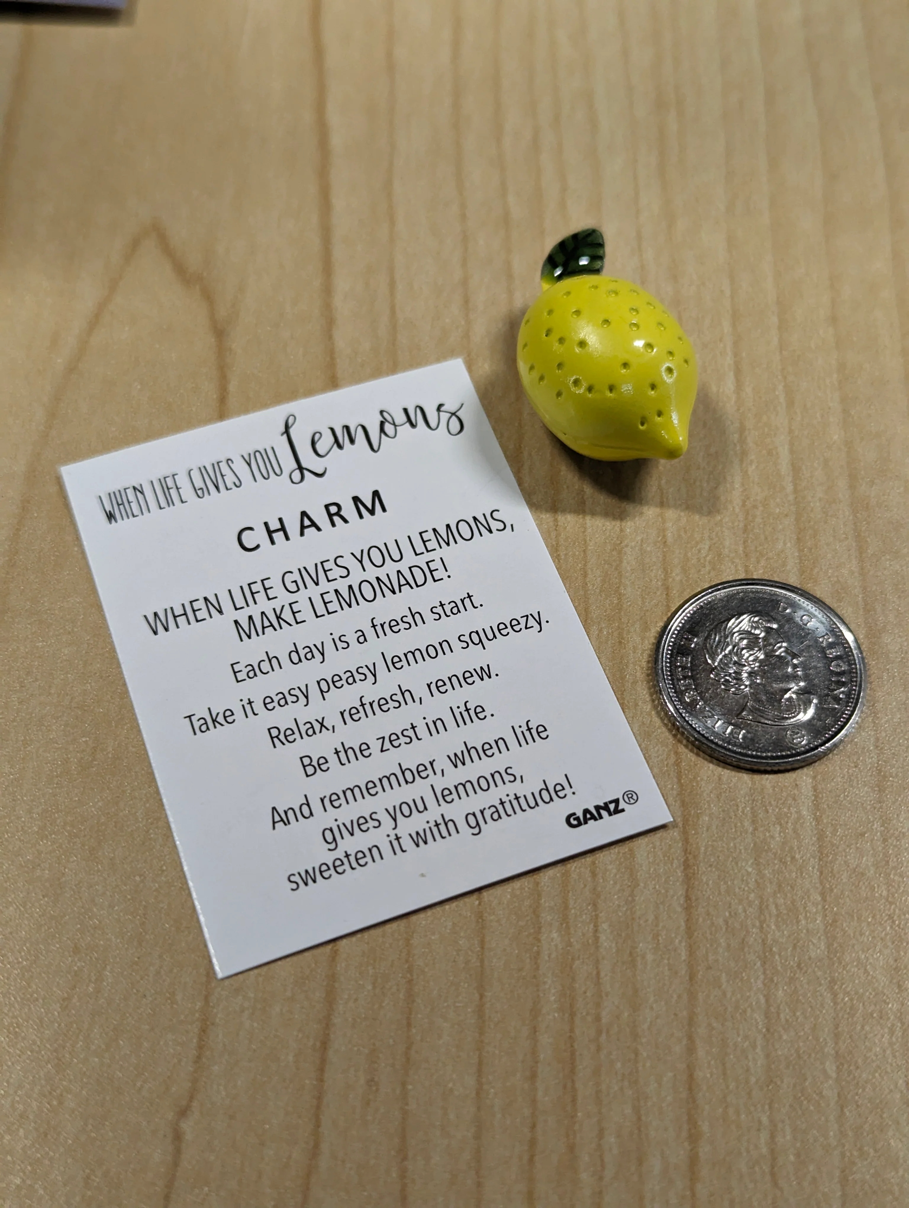 Good Luck Charm - When Life Gives You Lemons - Image 3