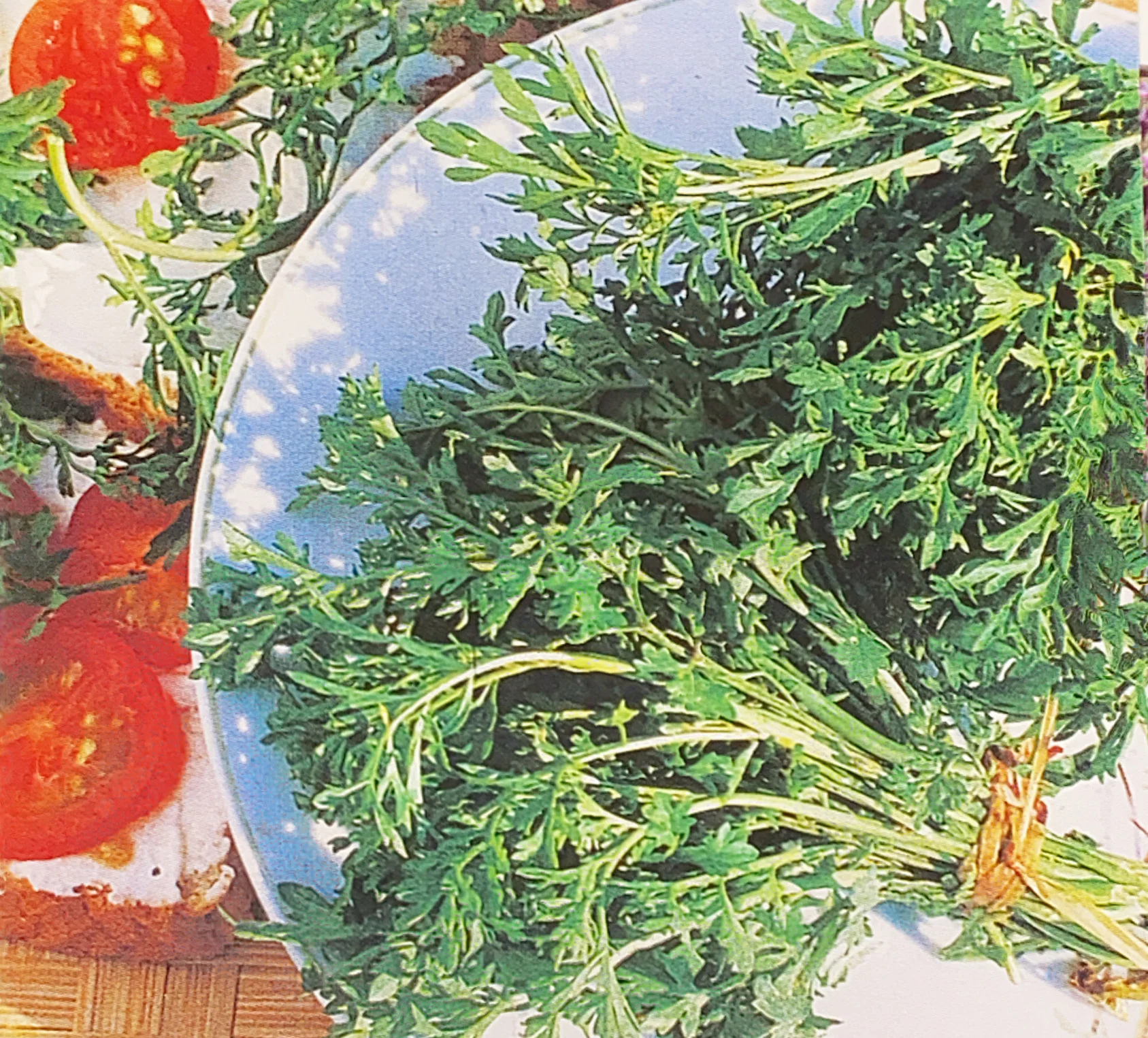 Cress | Peppergrass - Image 2