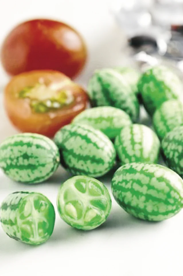 Cucamelon | Mexican Sour Gherkin - Image 3