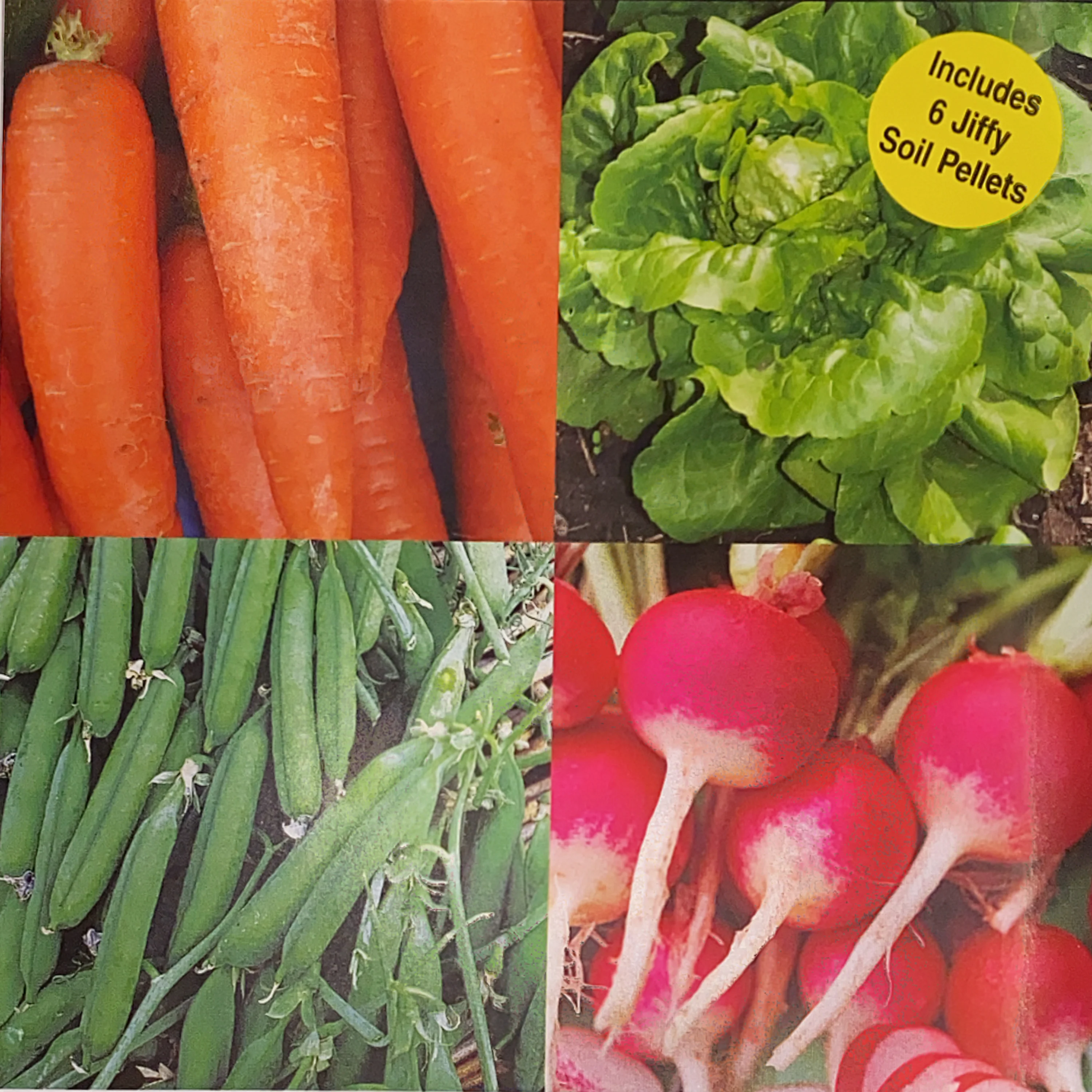 Easy Garden Kit