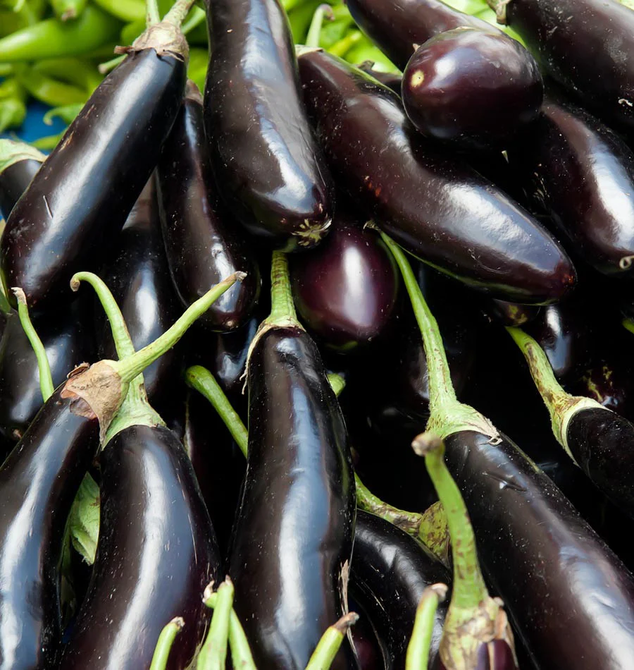 Eggplant | Long Purple