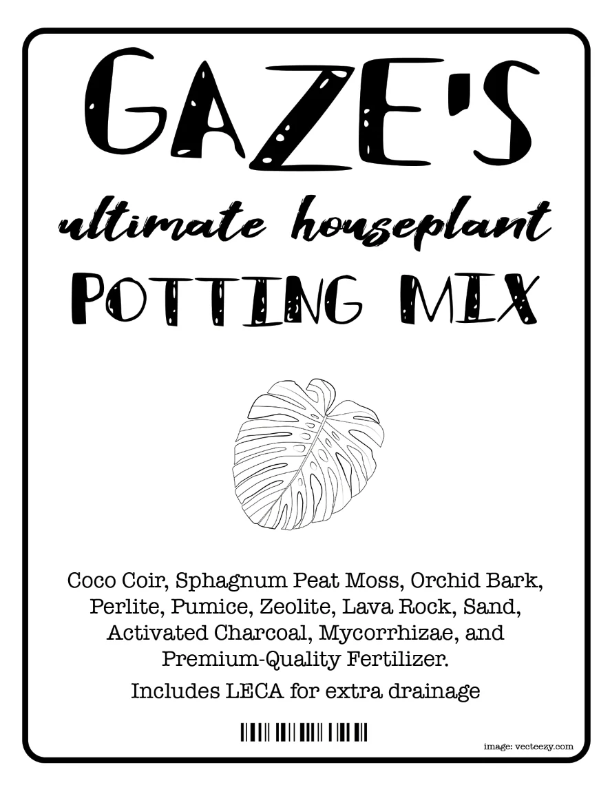 Gaze's Ultimate Houseplant Potting Mix - Image 3