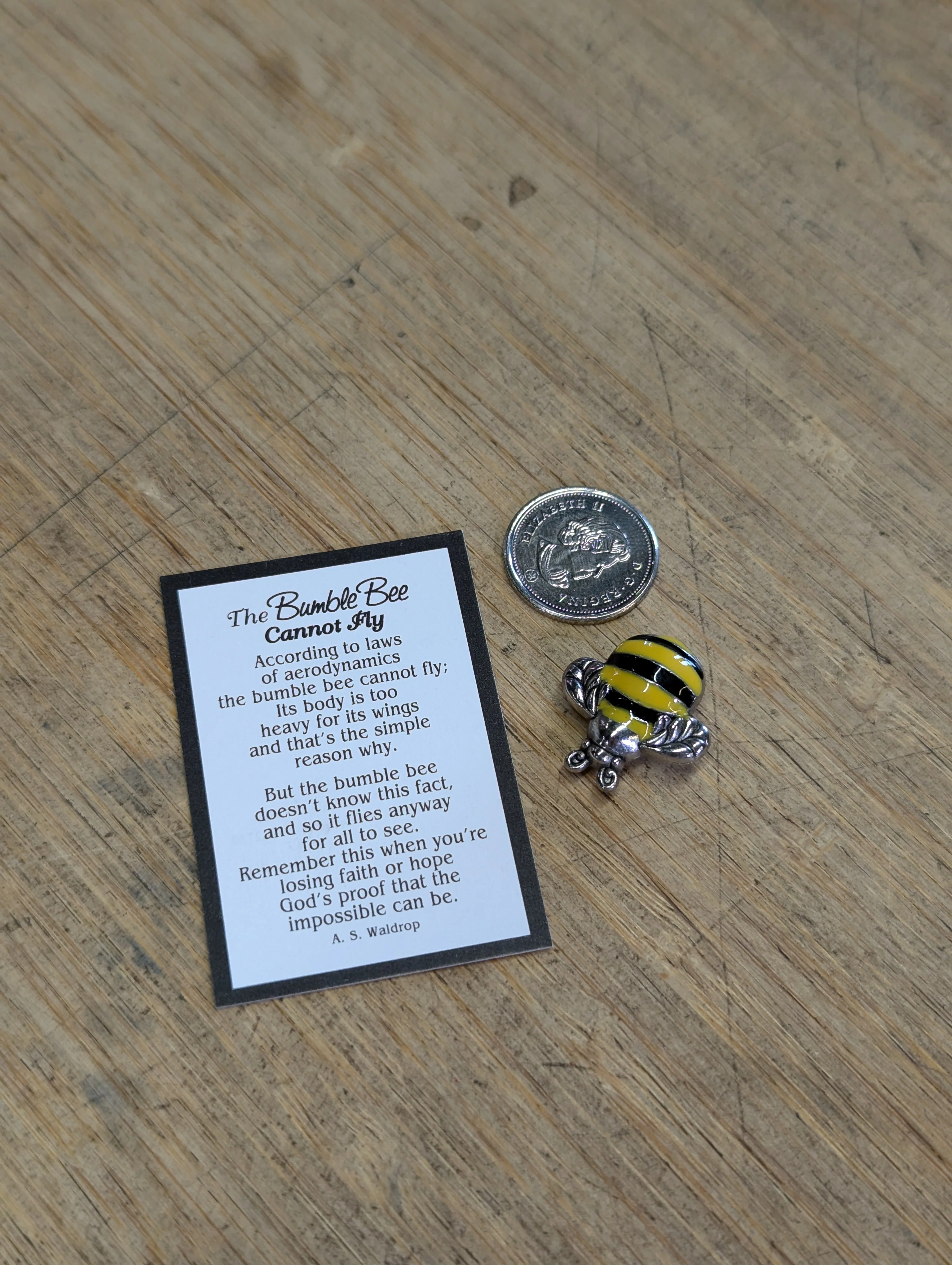 Good Luck Charm - Bumble Bee Cannot Fly - Image 4
