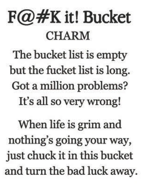 Good Luck Charm - F@#k it Bucket - Image 2
