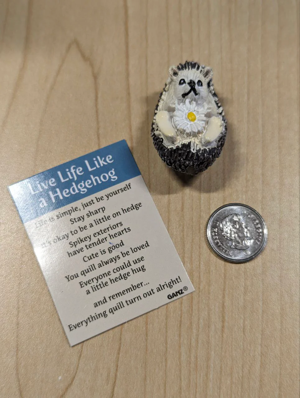 Good Luck Charm - Live Life Like a Hedgehog - Image 3