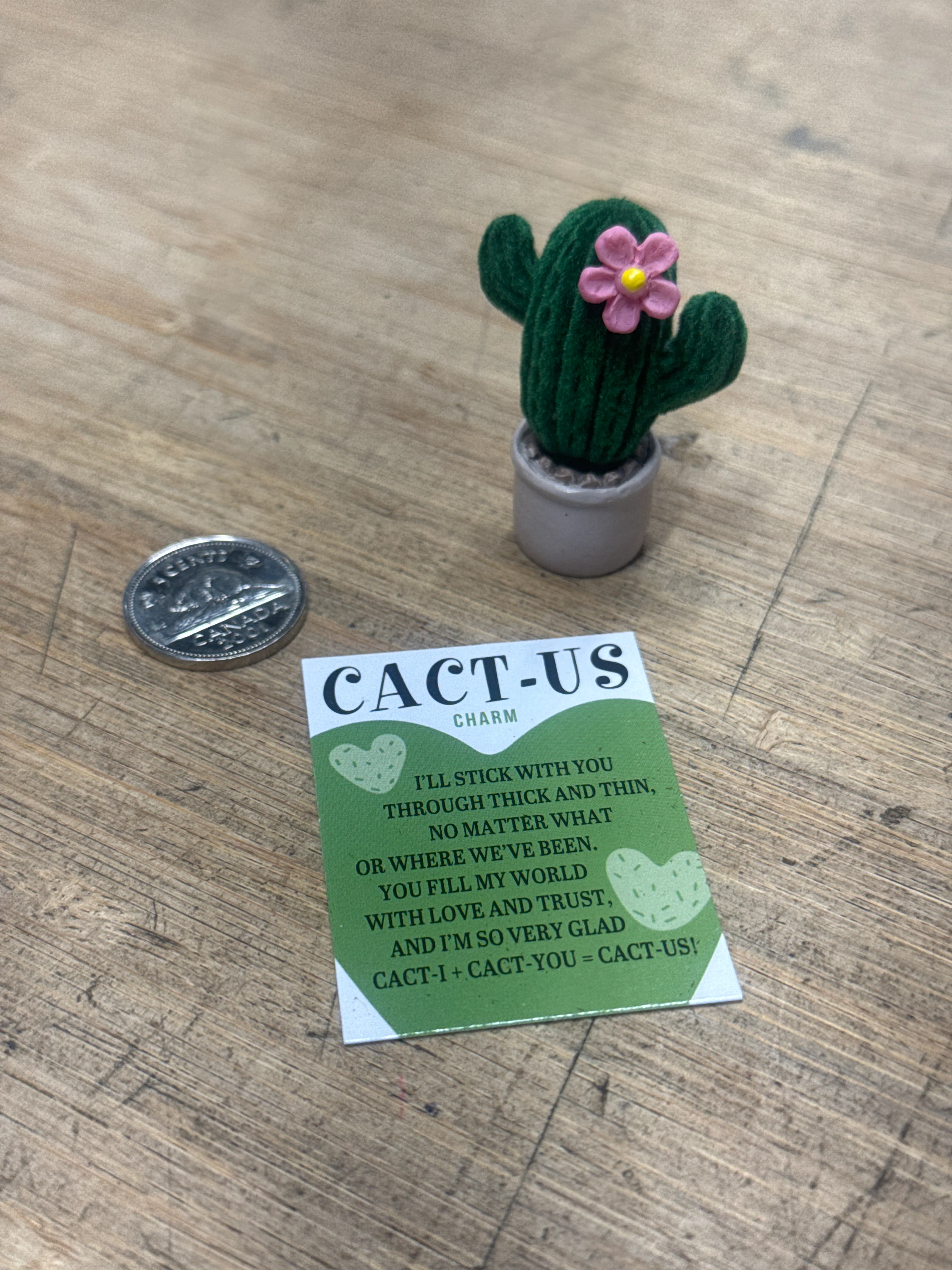 Good Luck Charm - CACT-US - Image 3