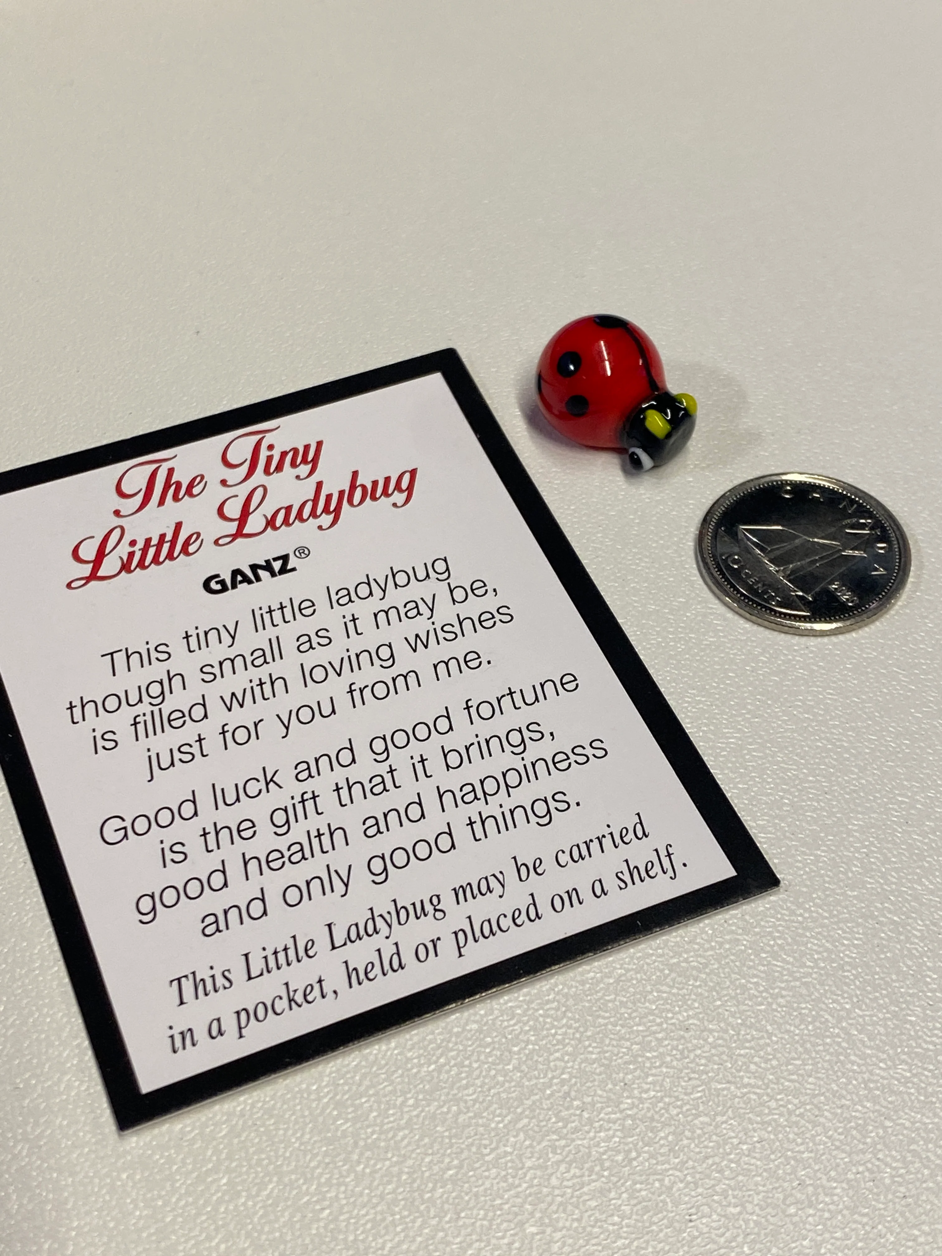 Good Luck Charm - The Tiny Little Ladybug - Image 3
