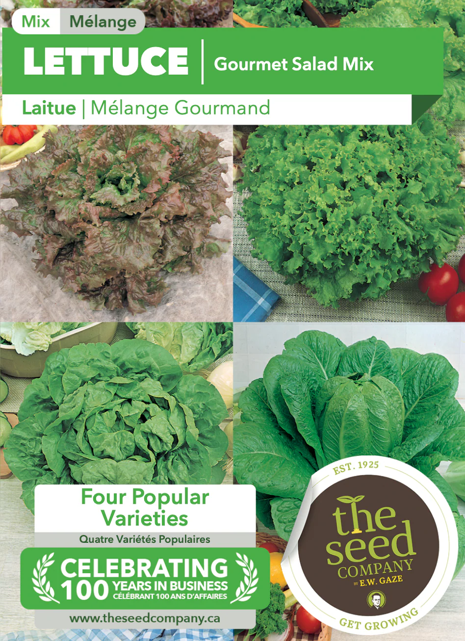 Lettuce | Gourmet Salad Mix - Image 2