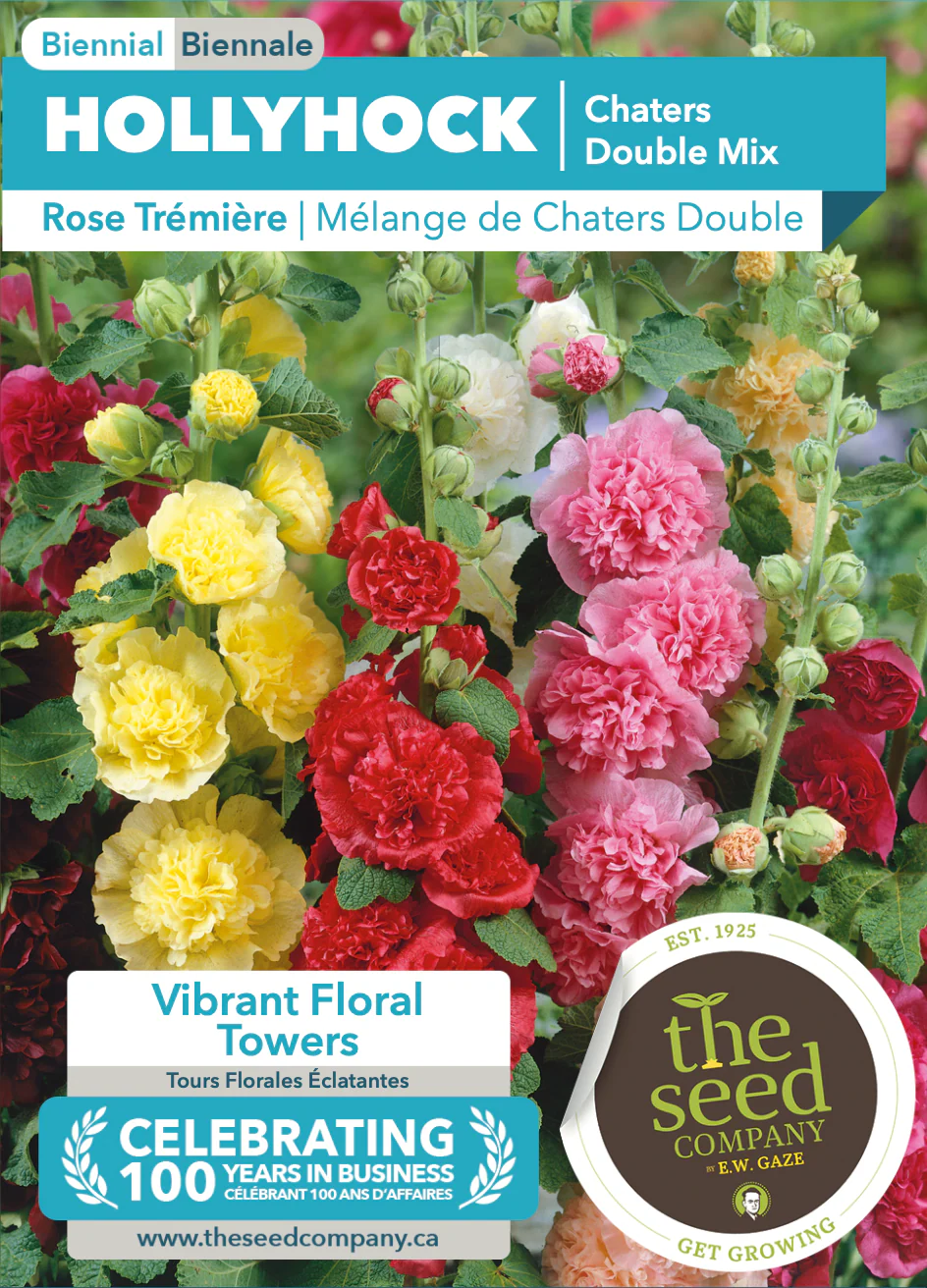 Hollyhock | Chaters Double Mix - Image 2