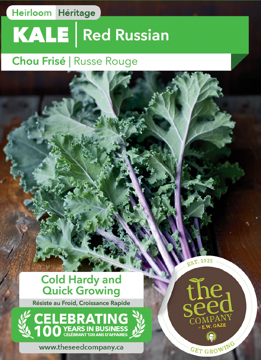 Kale | Red Russian - Image 2