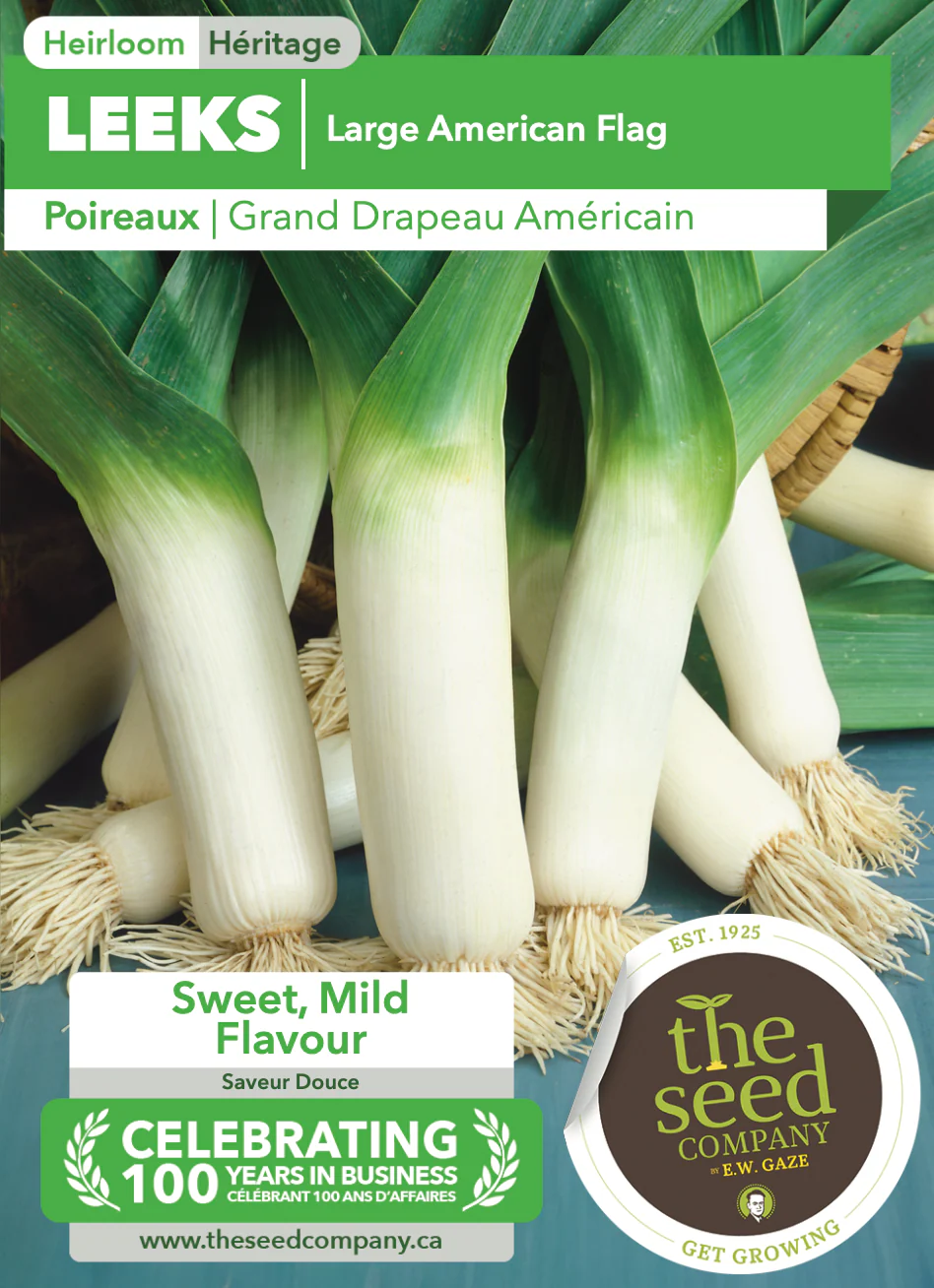 Leeks | Large American Flag - Image 2