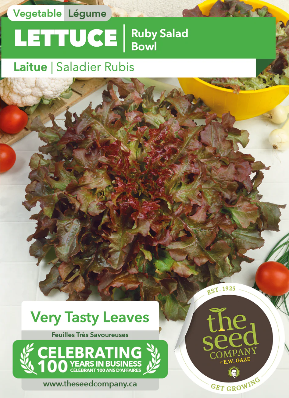 Lettuce | Ruby Salad Bowl - Image 2