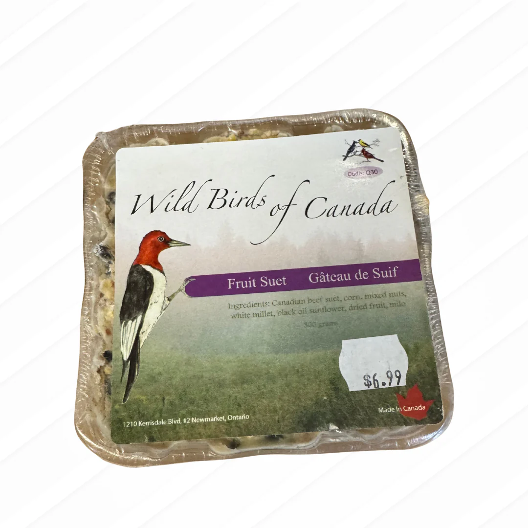 Wild Birds of Canada - Fruit Suet Cake