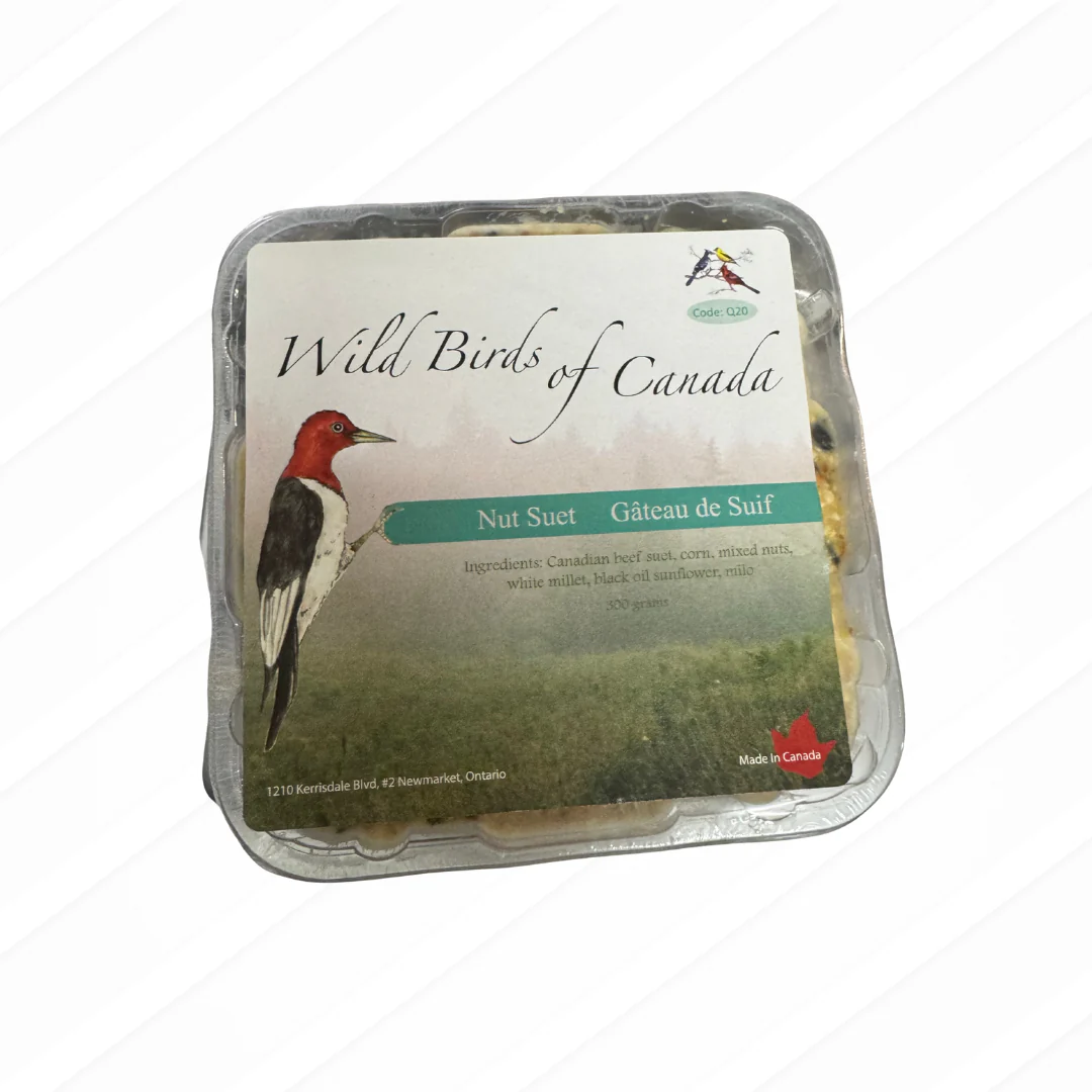 Wild Birds of Canada - Nut Suet Cake