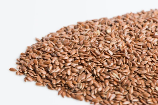 Flax Sprouting Seeds - Image 2