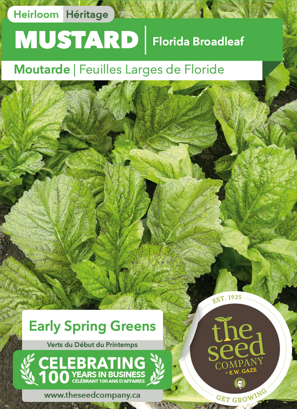 Mustard | Florida Broadleaf - Image 2