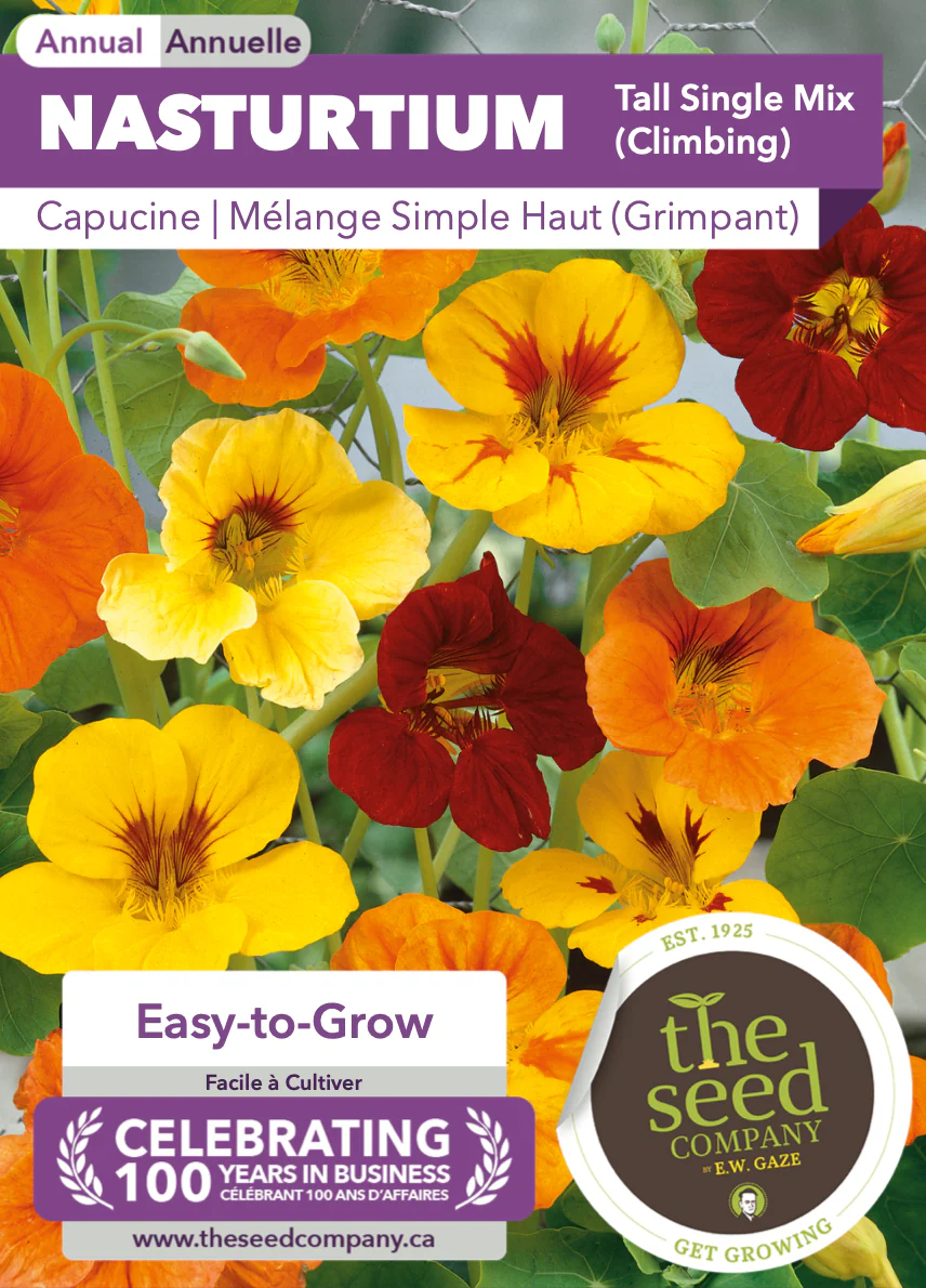 Nasturtium | Tall Single Mix (Climbing) - Image 2