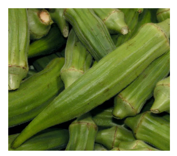 Okra | Clemson Spineless ORGANIC