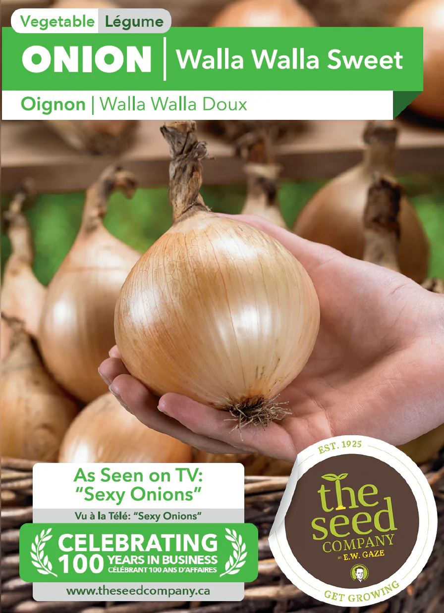 Onion | Walla Walla Sweet - Image 2