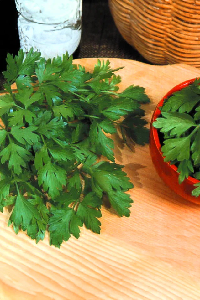 Parsley | Plain Leaf ORGANIC