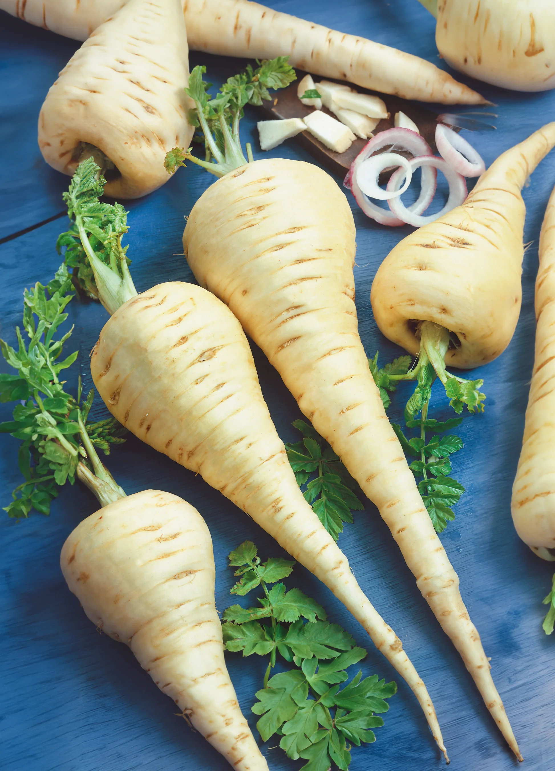 Parsnip | Hollow Crown