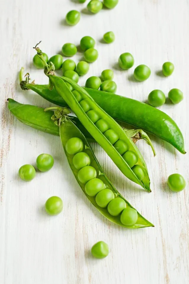 Pea | Laxton's Progress ORGANIC