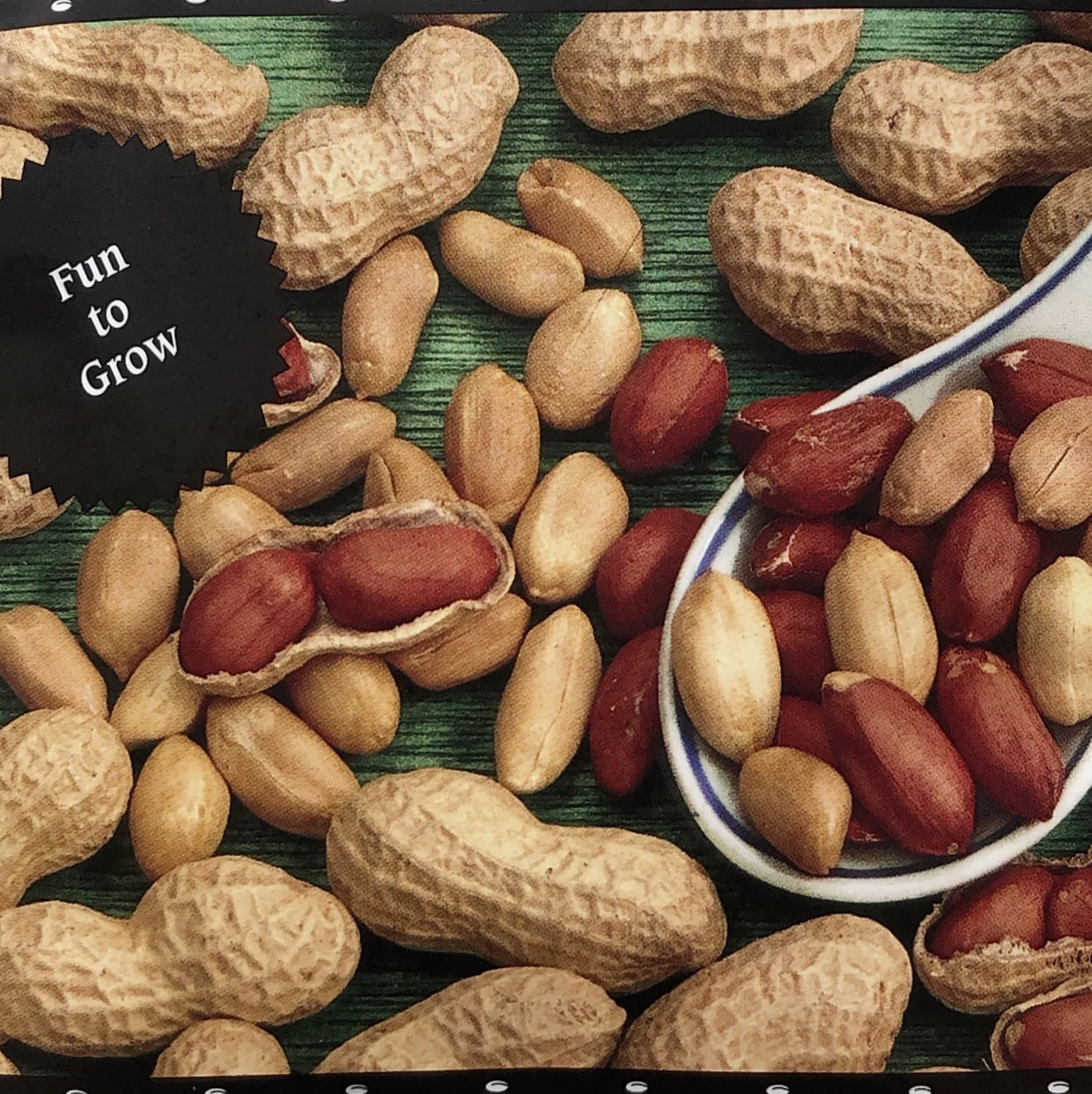Peanuts | Valencia - Image 4