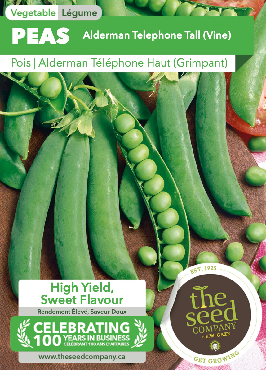 Peas | Alderman Telephone Tall (Vine) - Image 2