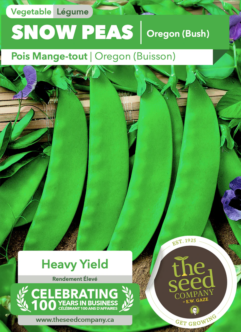 Snow Peas | Oregon (Bush) - Image 2
