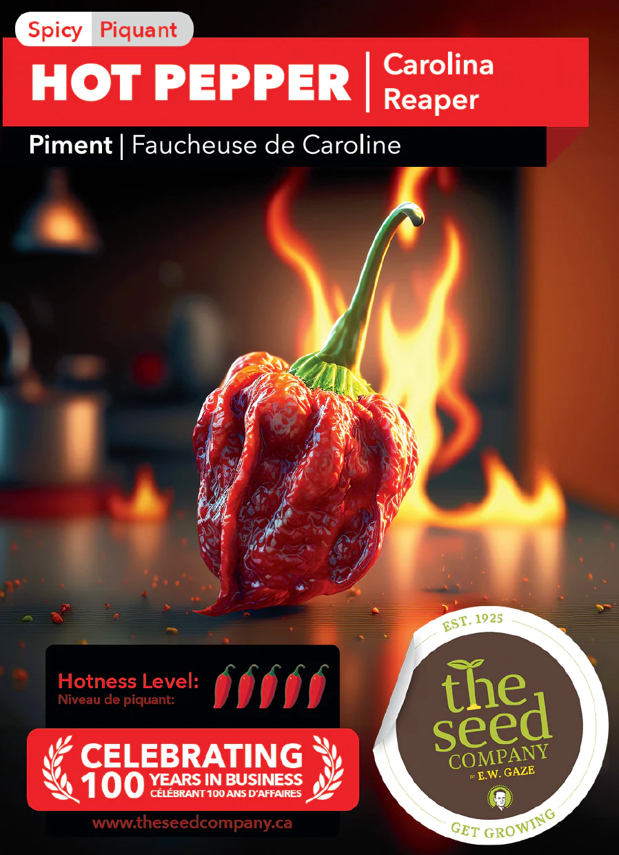 Hot Pepper | Carolina Reaper - Image 2
