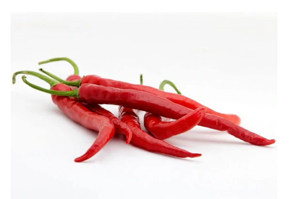 Pepper Long Red Cayenne ORGANIC