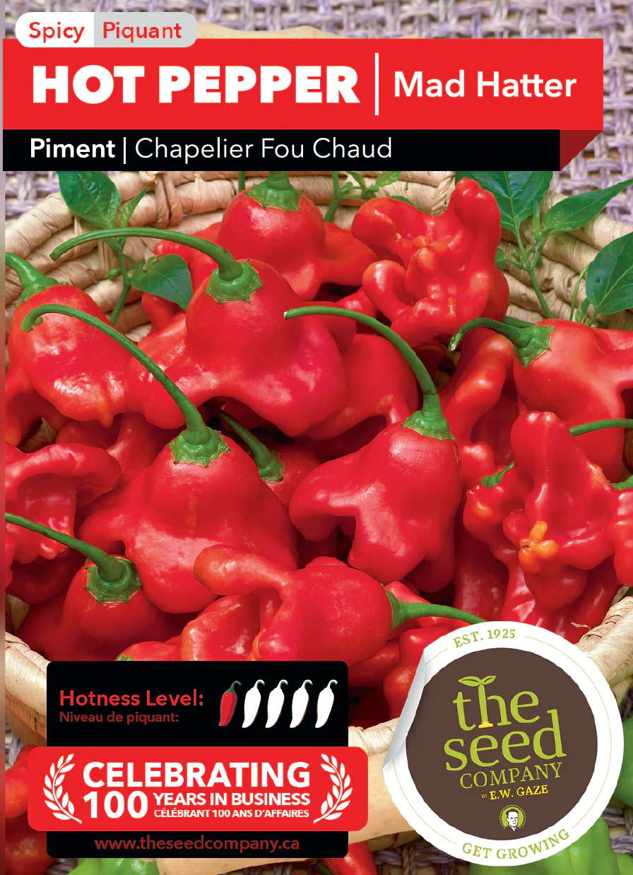 Hot Pepper | Mad Hatter - Image 2