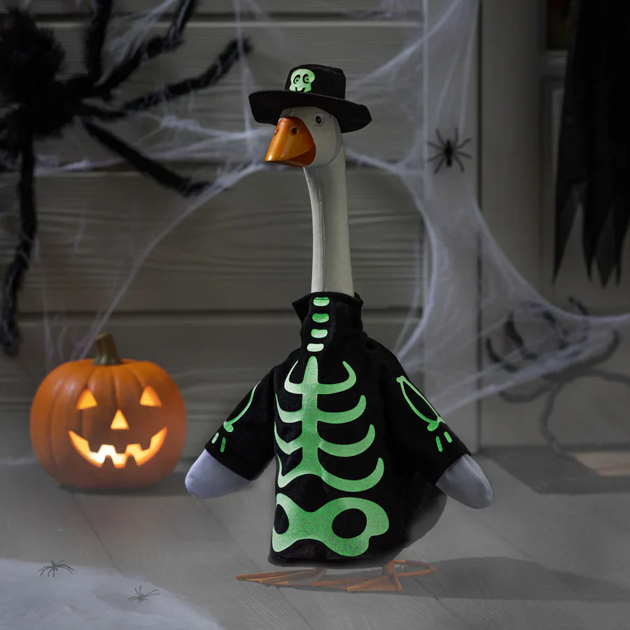 PRE-ORDER GIDDY CLOTHING – Skeleton Glow