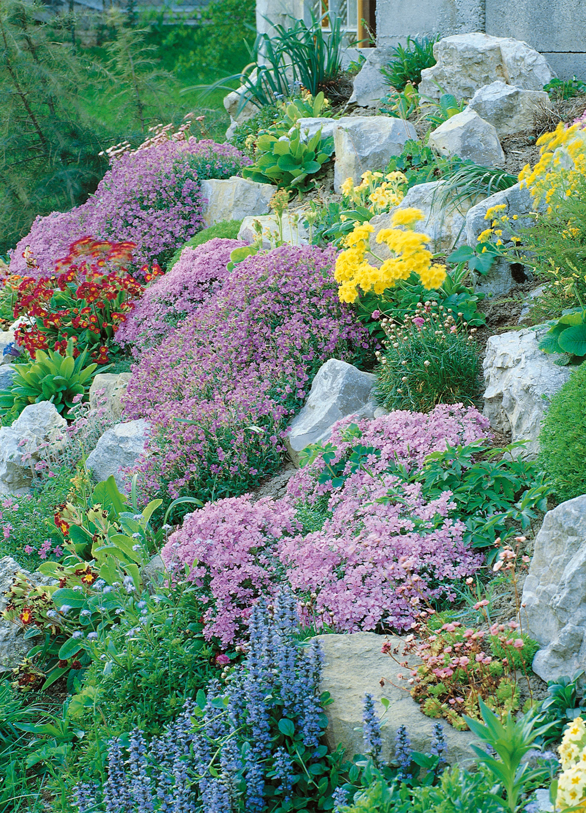 Rock Garden | Perennial Mix