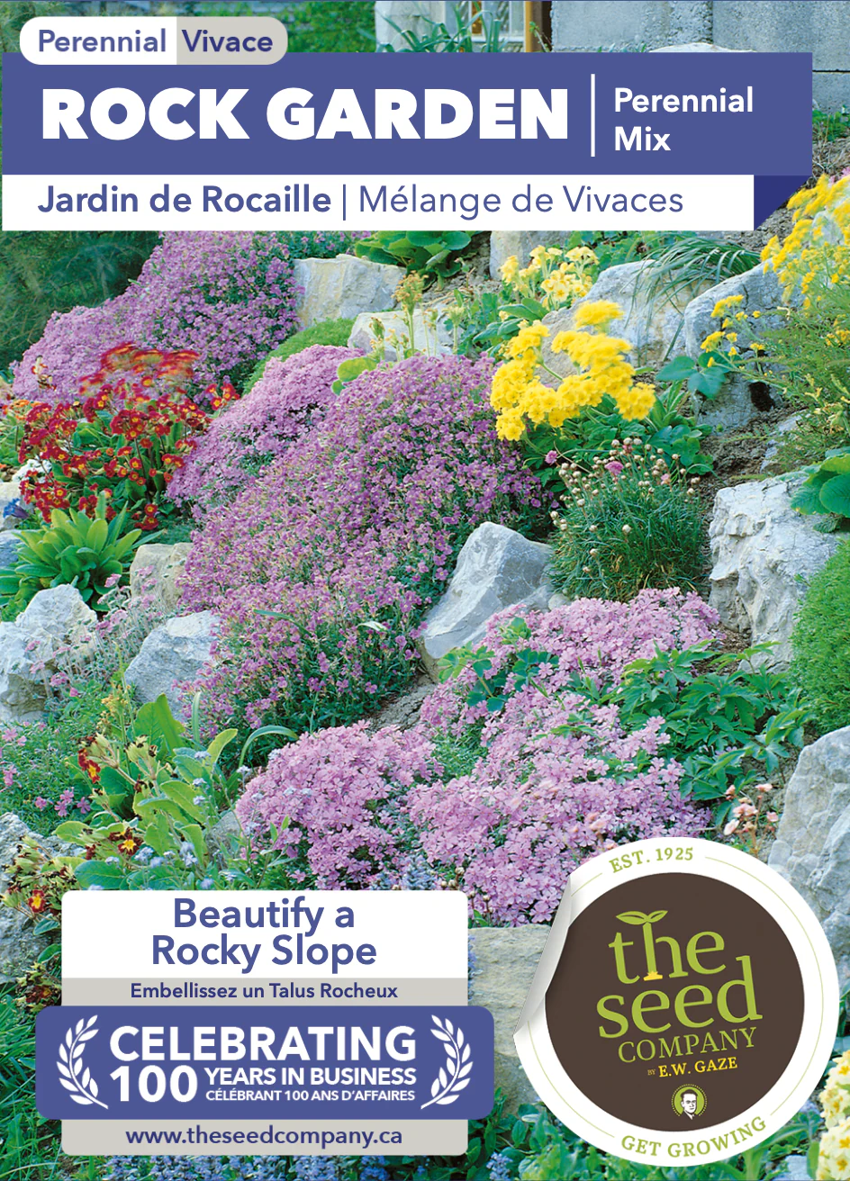 Rock Garden | Perennial Mix - Image 2