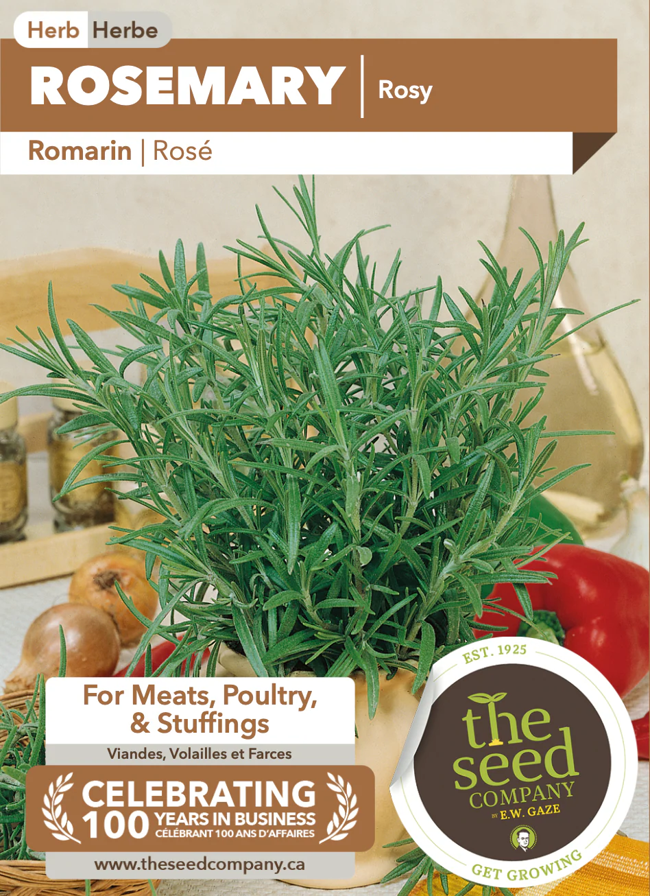 Rosemary | Rosy - Image 2