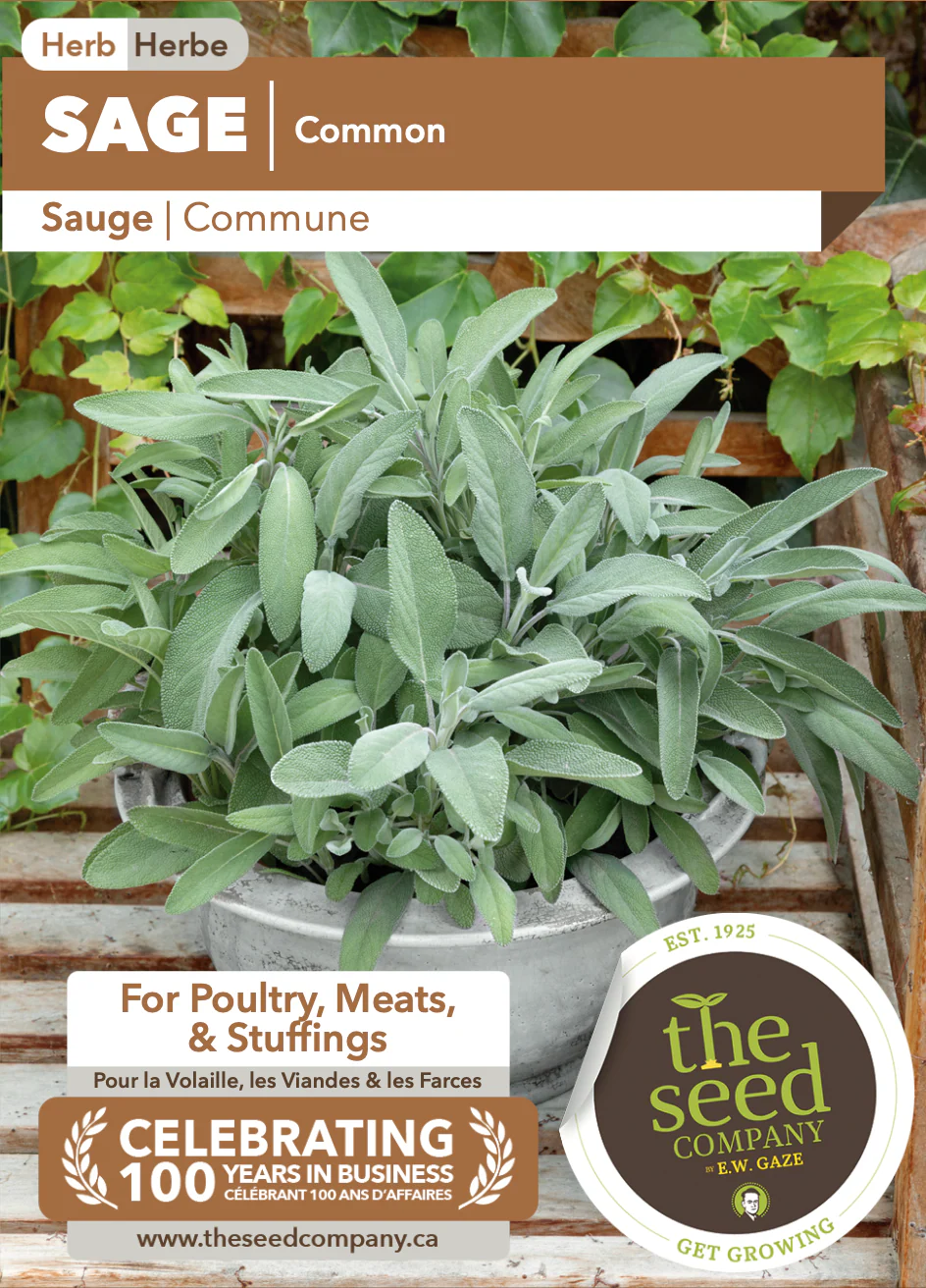 Sage | Common - Image 2