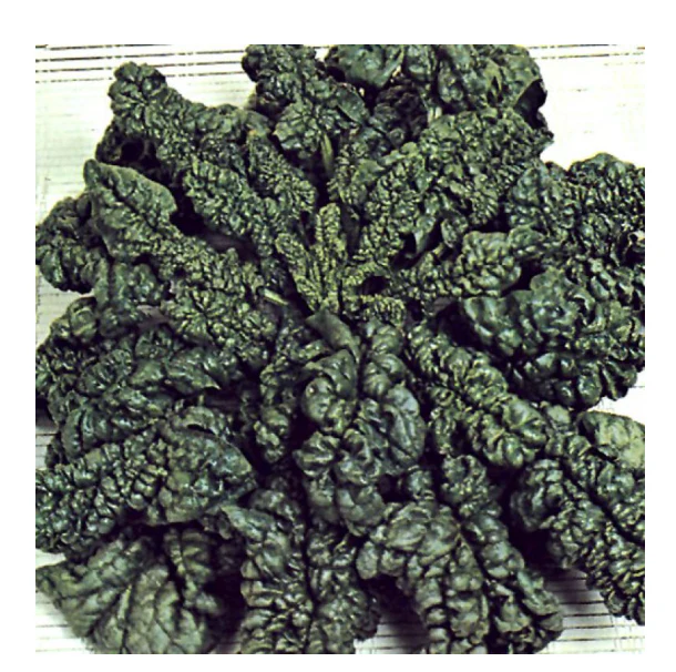 Spinach | Bloomsdale ORGANIC