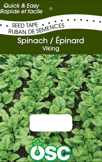Spinach Viking - Organic Seed Tape