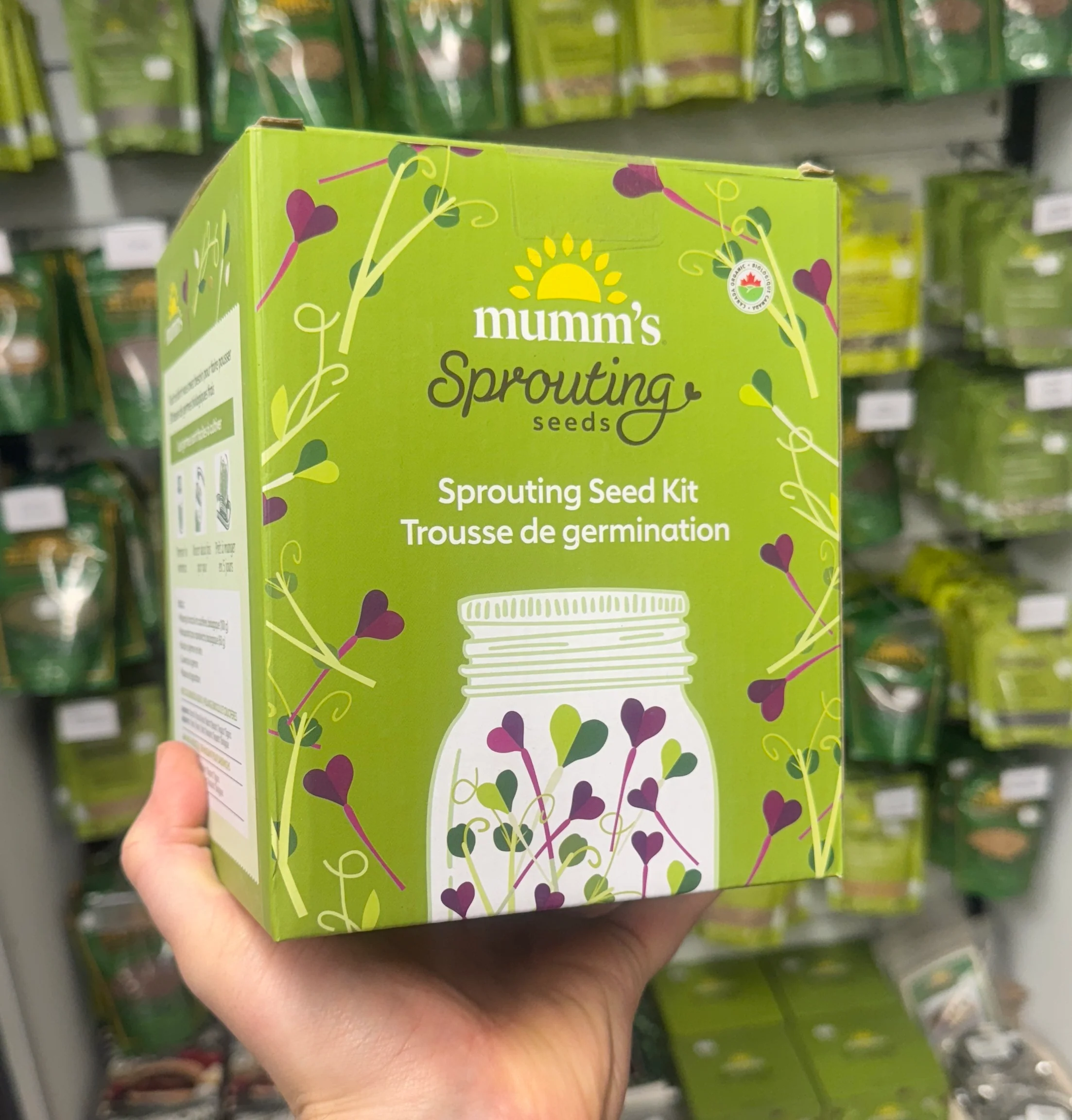 Sprouting Seed Kit - Image 2